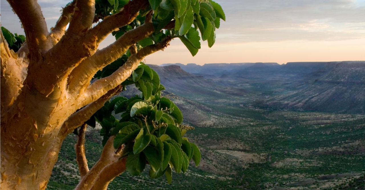 Grootberg Lodge Damaraland Exterior foto
