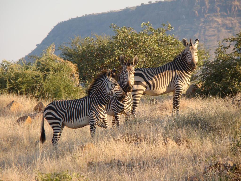 Grootberg Lodge Damaraland Exterior foto