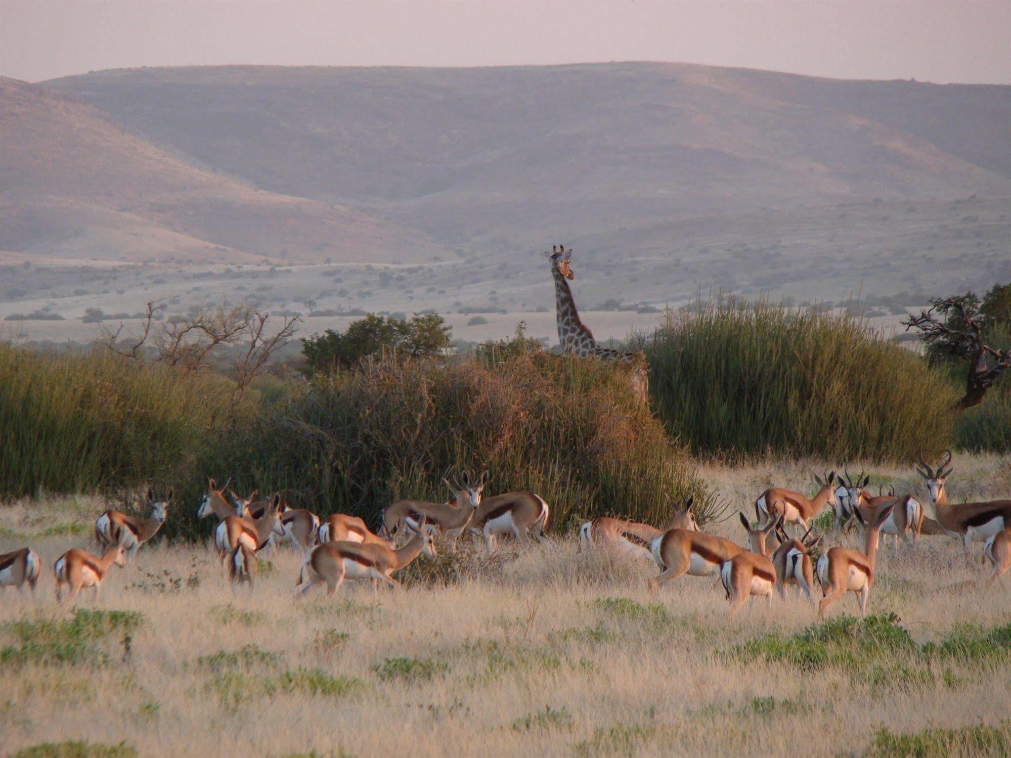 Grootberg Lodge Damaraland Exterior foto