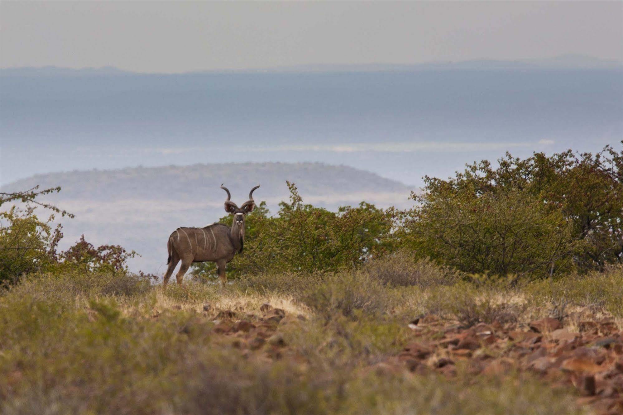Grootberg Lodge Damaraland Exterior foto